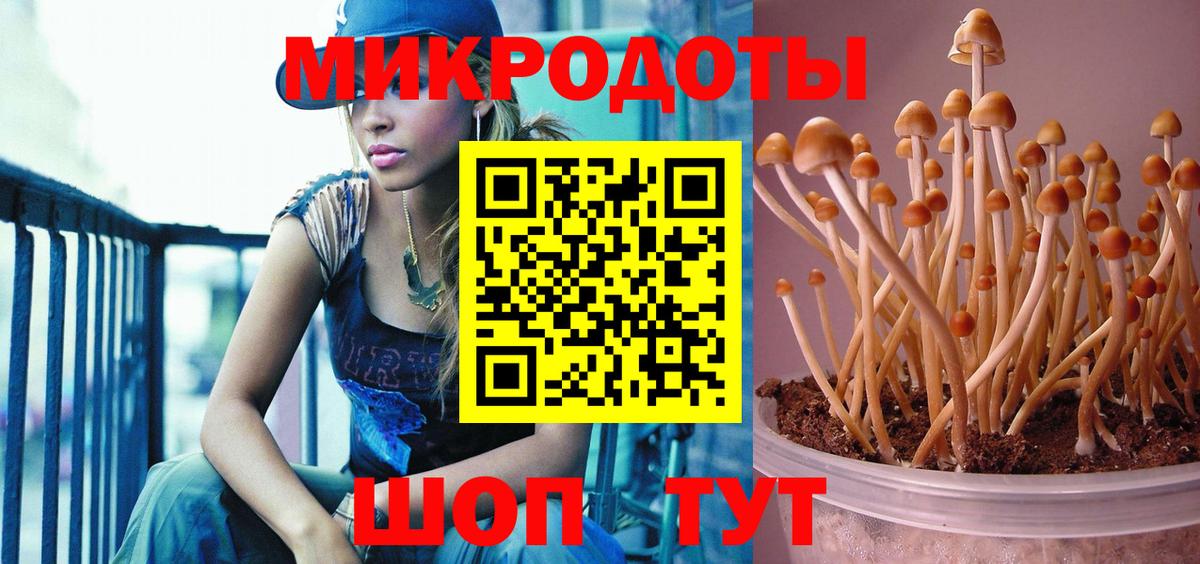 Ипатово  Галлюциногенные грибы Magic Shrooms  Вход с VPN 